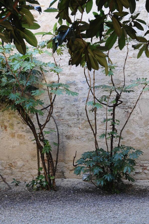 Ferienwohnung Residenza Branca Della Ripa Florenz Exterior foto
